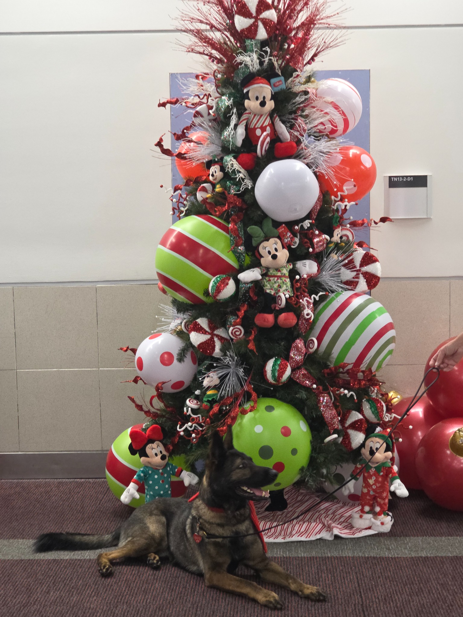 Mickey's Candy Cane Christmas